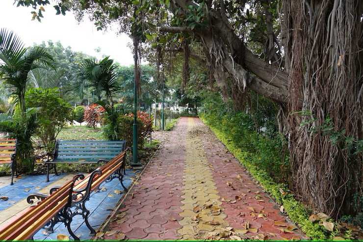 Walkways in Park